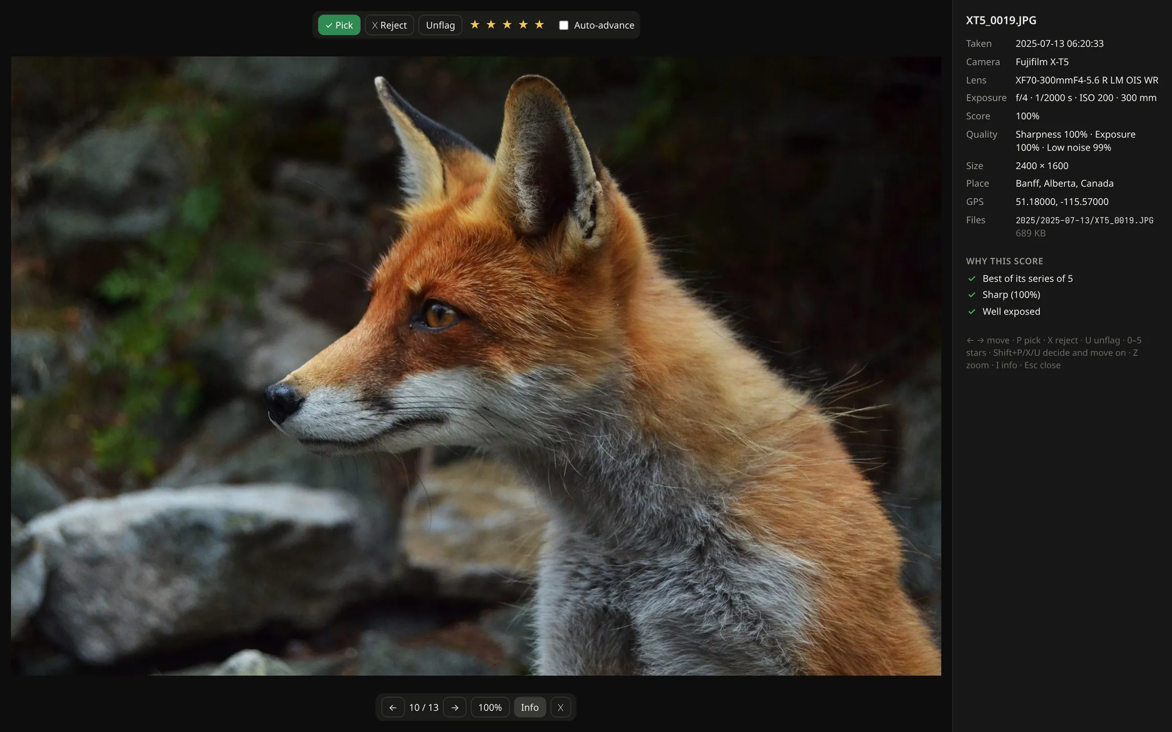 The photo view: a red fox, picked with five stars, and the info panel with camera, exposure, place and why the photo scored 100%.